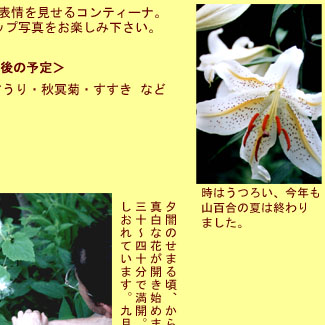 ����ƥ����ʤλ͵�