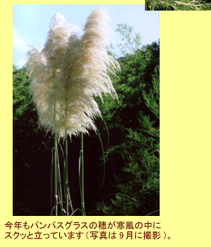 ����ƥ����ʤλ͵�