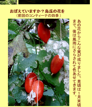 ����ƥ����ʤλ͵�