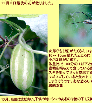 ����ƥ����ʤλ͵�